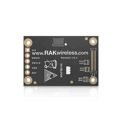 RAKwireless Nordic nRF52840 BLE Core Module for LoRaWAN with LoRa SX1262